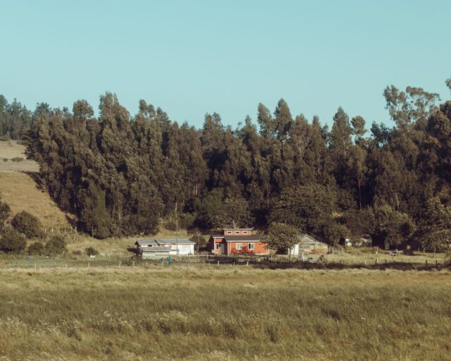 Familia de niño fallecido en Chiloé prepara querella contra centros de salud