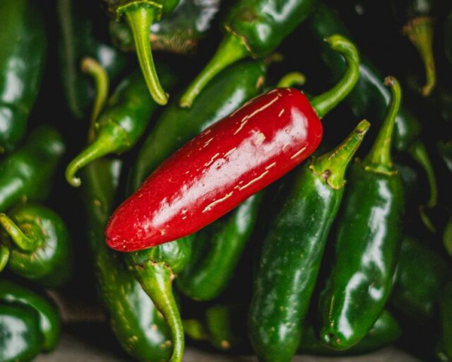 EE.UU. reporta 345 casos de salmonella vinculados a chiles de México