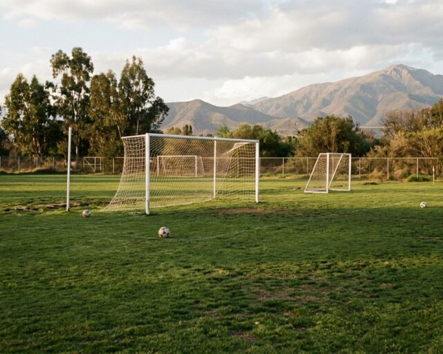 DT de Deportes Temuco responde a acusaciones de sobrepeso en el plantel