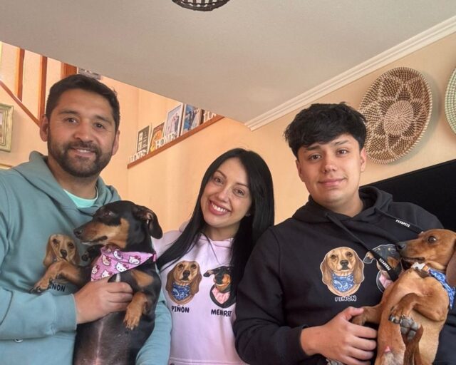 Pevapets: El arte de perdurar el amor y mantener viva la memoria de nuestras mascotas