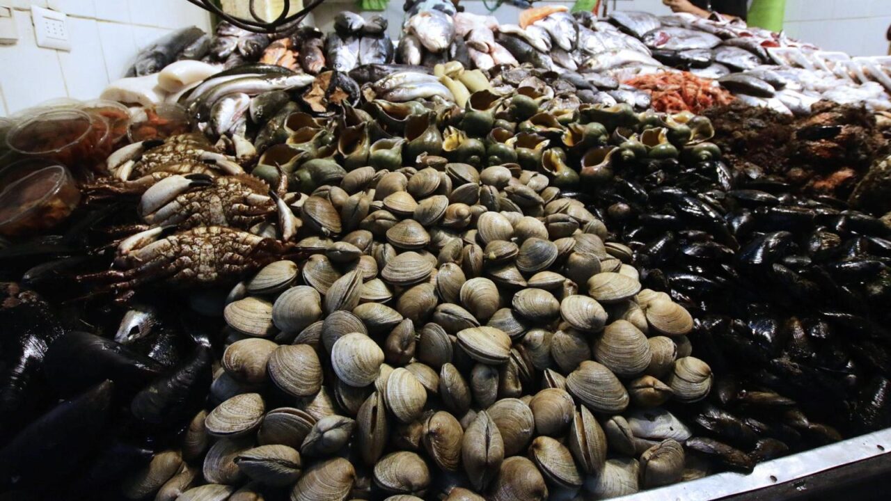 Alerta sanitaria por Marea Roja: Expertos advierten que el calor de la cocción no neutraliza las biotoxinas marinas