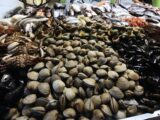 Alerta sanitaria por Marea Roja: Expertos advierten que el calor de la cocción no neutraliza las biotoxinas marinas