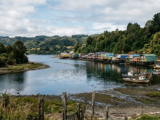 ONG vinculada a DiCaprio avanza en trámite para proteger isla Guafo en Chiloé