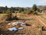 PDI investiga muerte de cuatro perros en Hualpén