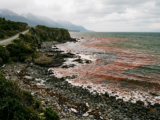 Interior decreta emergencia preventiva por marea roja en 15 regiones