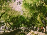 Detienen a adolescente por presunto homicidio de joven desaparecido en Maipú