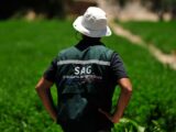 Fenómeno de El Niño y caso de influenza aviar en Perú elevan la alerta del SAG y refuerzan la vigilancia sanitaria